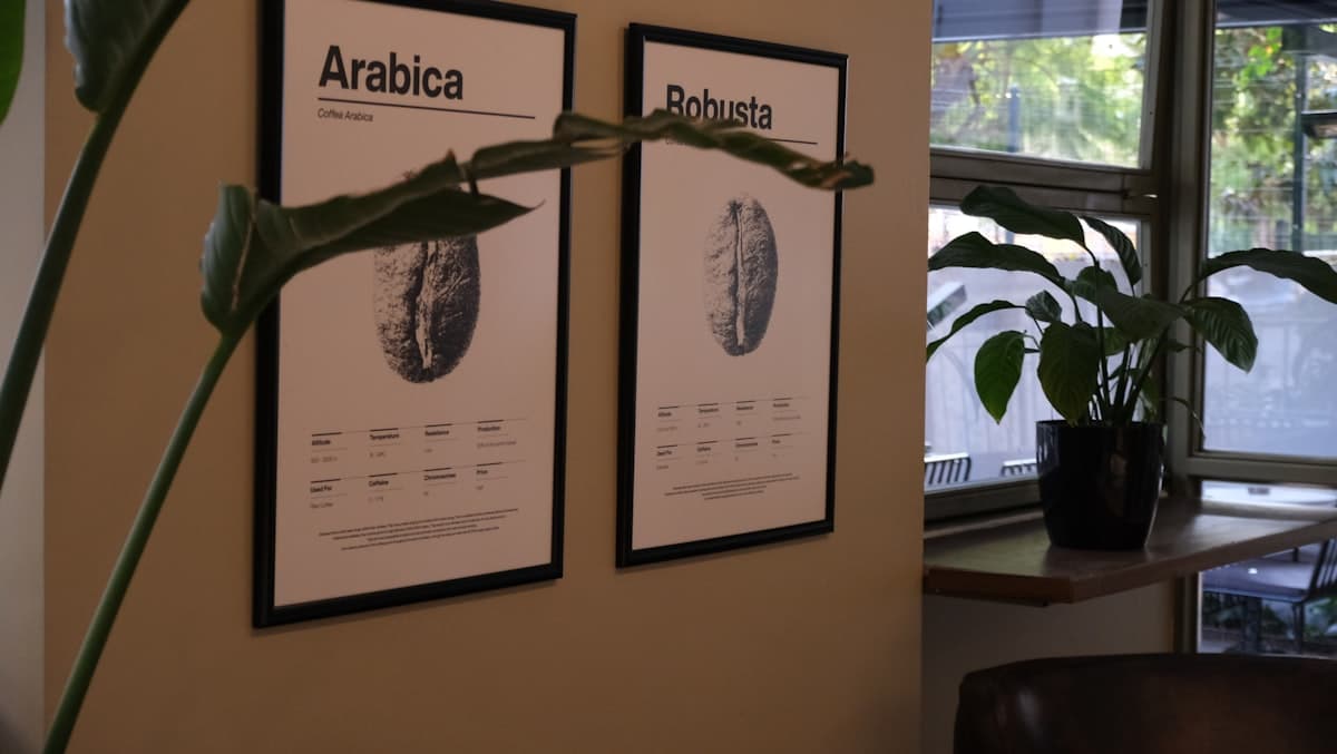 Poster sizing guide: why 50x70 outsells A4 (and when it doesn't)